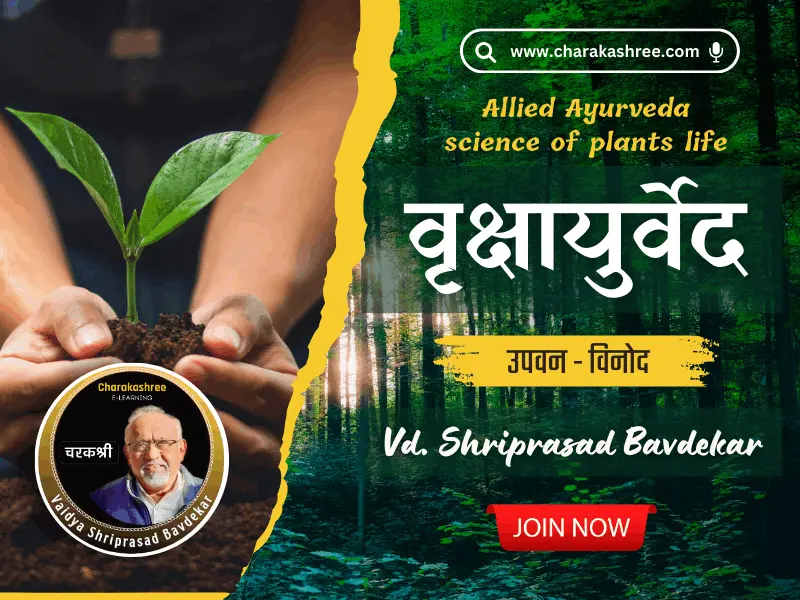 Sports Ayurveda